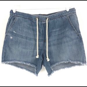 AERIE CHAMBRAY BLUE PULL ON DISTRESSED SHORTS LARG